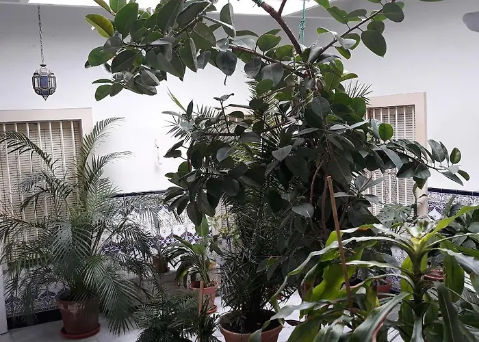 Apartment Atico Soleado *