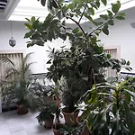 Apartment Atico Soleado *