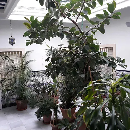 公寓 Atico Soleado *