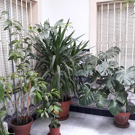 Atico Soleado 公寓