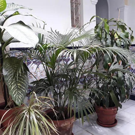 Atico Soleado * 加的斯