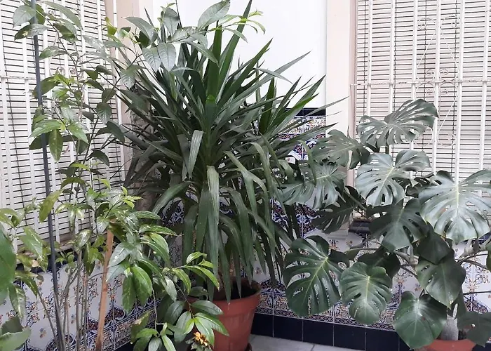 Atico Soleado Appartement