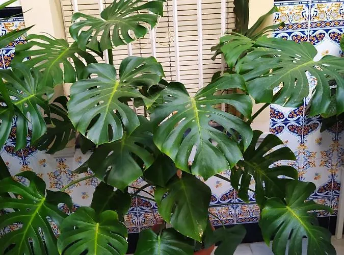 Apartmán Atico Soleado Cádiz