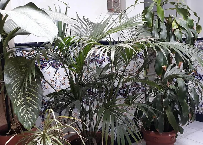 Atico Soleado * كاديز